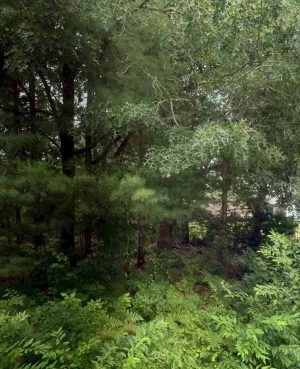 59 Park, Wareham, MA 02538