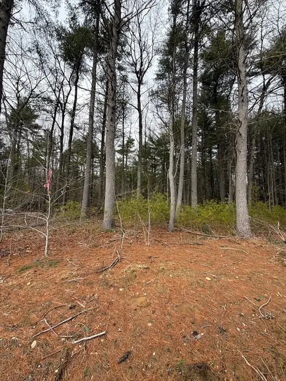 0 Pine St, Raynham, MA 02767