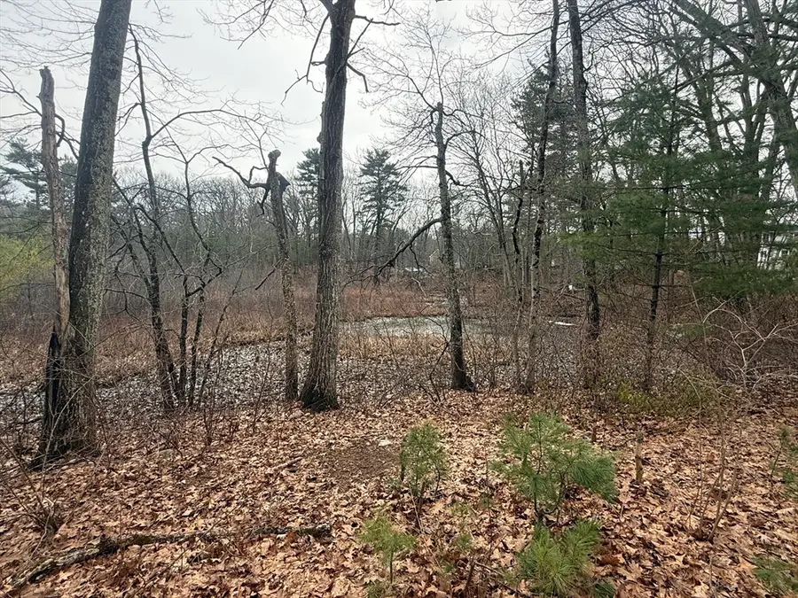 10 Sycamore Rd, Wrentham, MA 02093 - #3