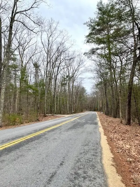 11-L New Athol Rd, Petersham, MA 01366 - #3