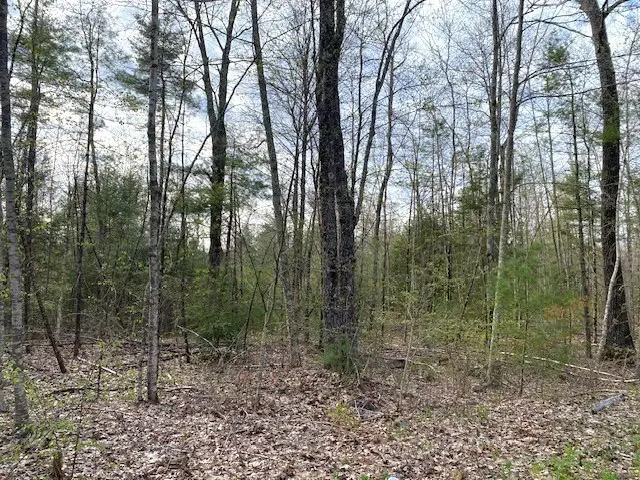 12-L New Athol Rd, Petersham, MA 01366 - #2