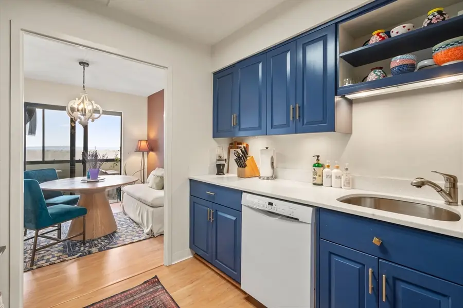 250 Hammond Pond Parkway #1406N, Newton, MA 02467 - #3