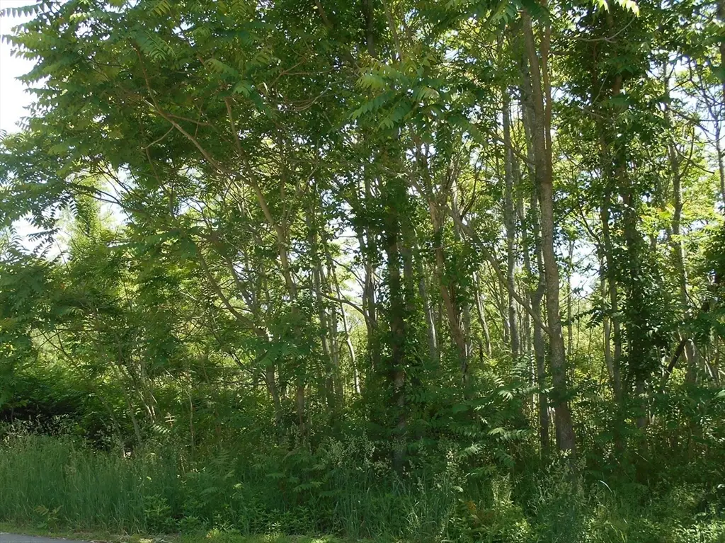 21 Papermill Road, West Wareham, MA 02576 - #1