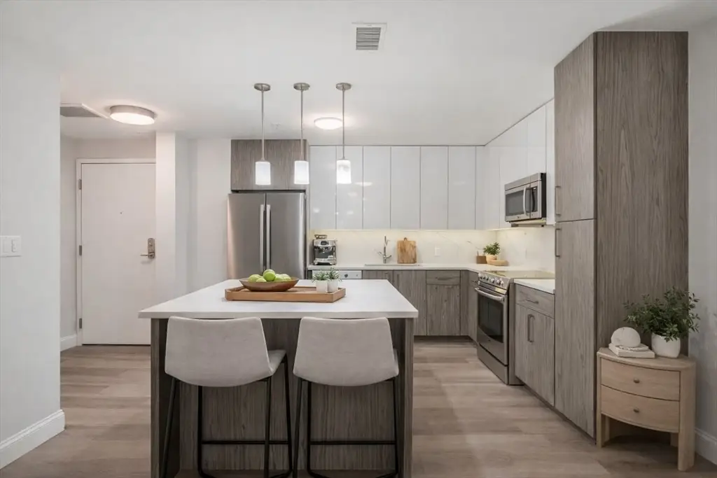 771 Harrison Ave #201, Boston, MA 02118 - #1