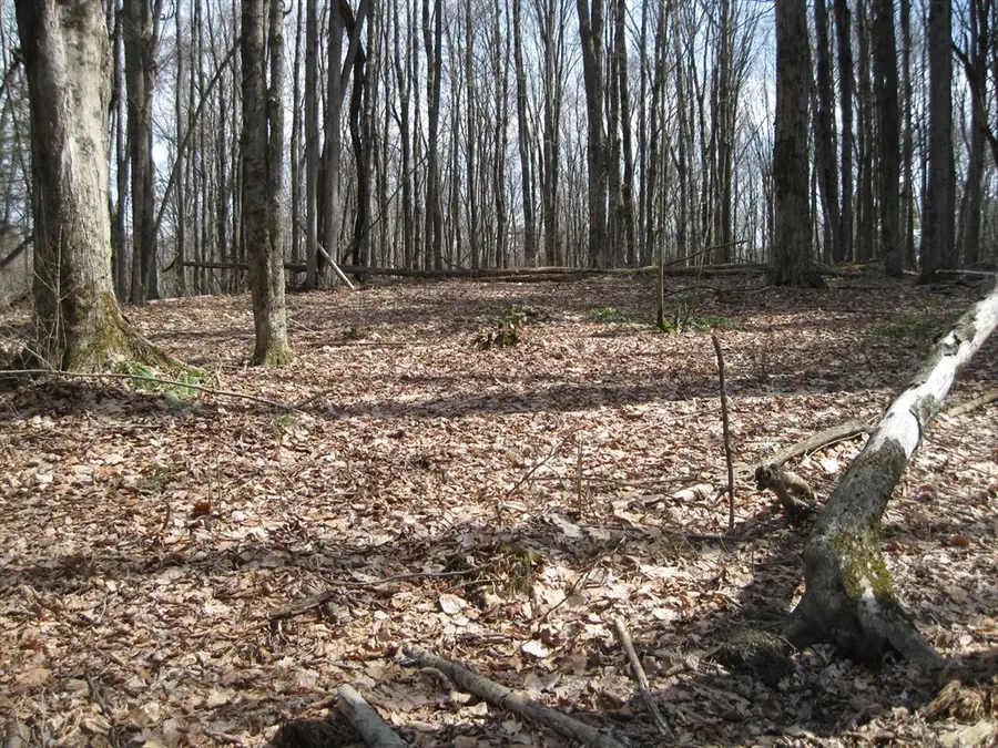 0 Mohawk Lake Rd, Stockbridge, MA 01262 - #3