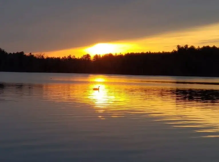 439 Lowell St, Andover, MA 01810 - #3