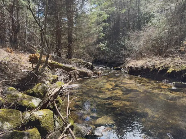 151 Ashfield Road, Williamsburg, MA 01096