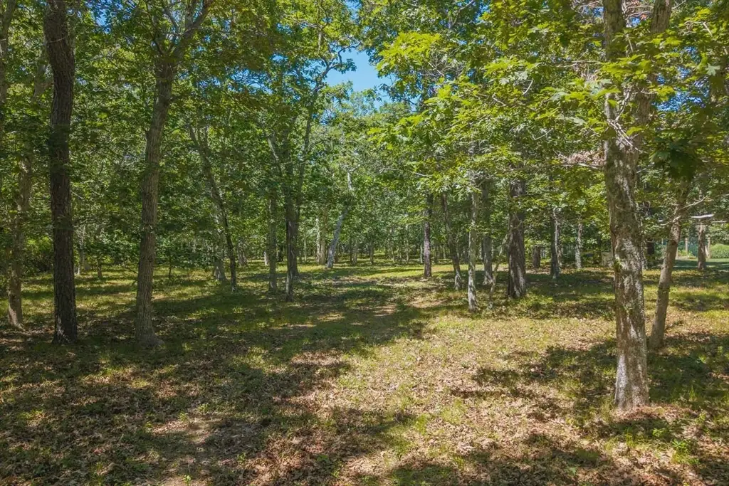 4 Wilsons Lane, Edgartown, MA 02539 - #1