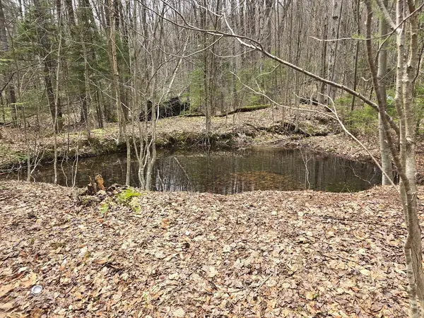 0 Magee Rd, Stamford, VT 05352