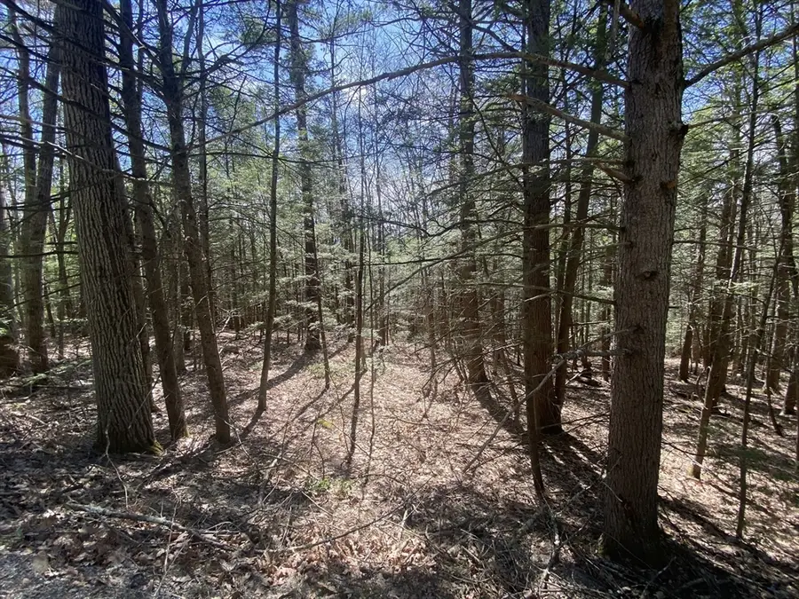 Lot 23-25 Hawk Hill Rd, Charlemont, MA 01339 - #3