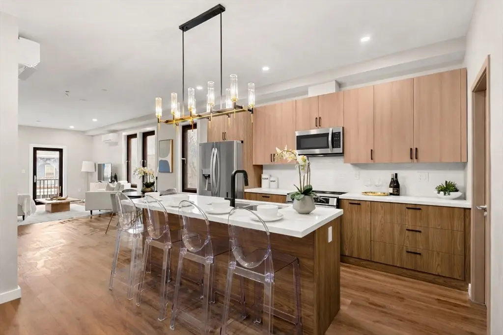 14 Schuyler #3, Boston, MA 02121 - #1