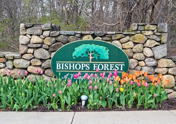 231 Bishops Forest Dr. #231, Waltham, MA 02452
