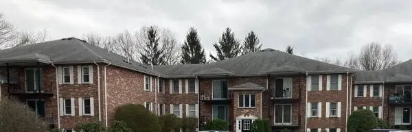 348 Neponset St #G, Canton, MA 02021 - #1