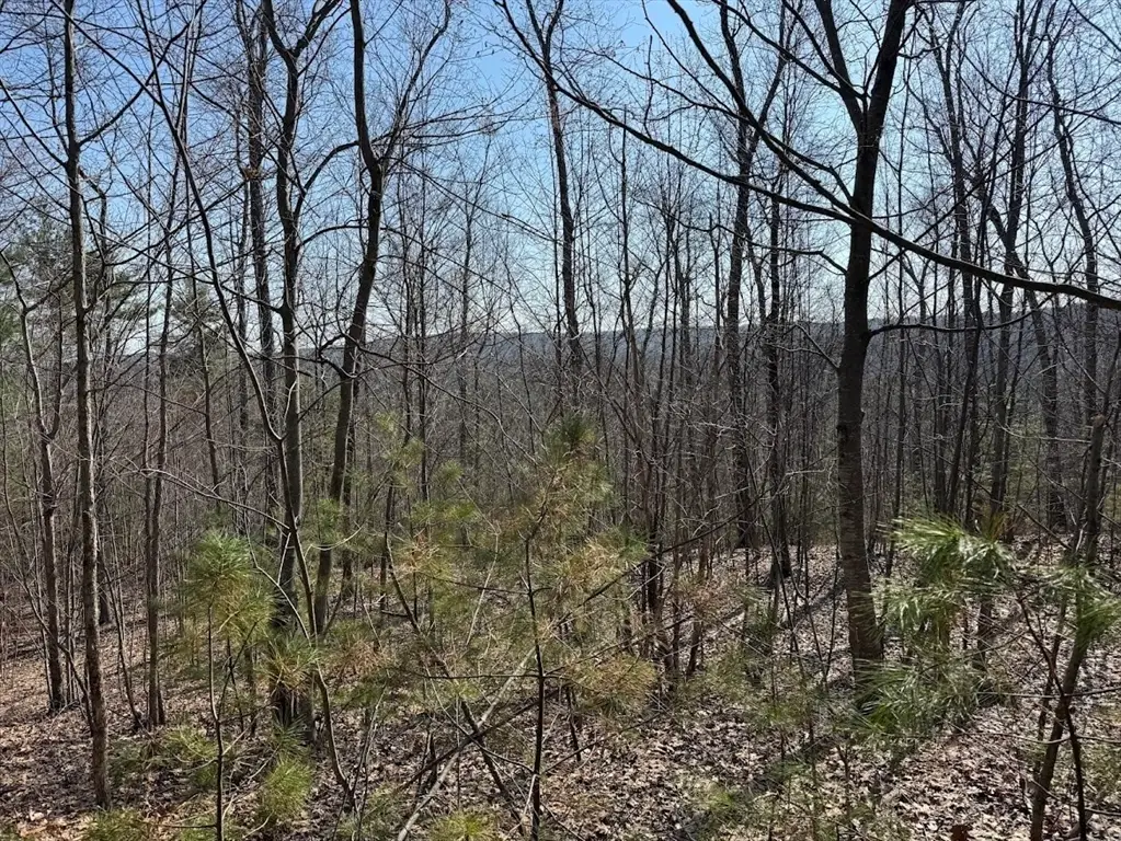 0B Brimfield Rd, Warren, MA 01083 - #1