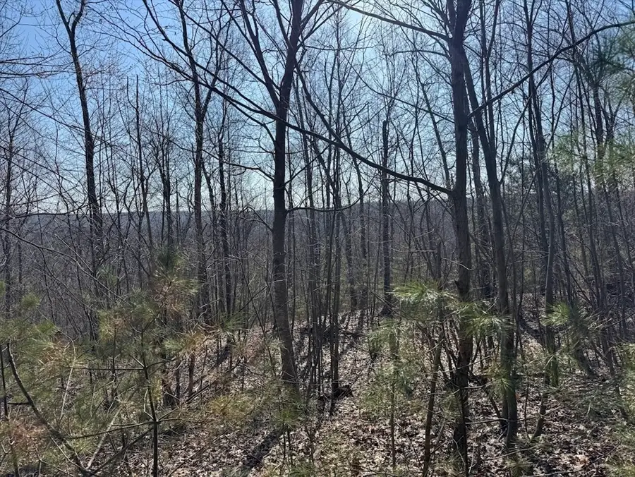 0B Brimfield Rd, Warren, MA 01083 - #2