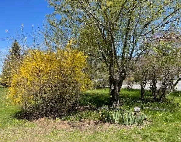 41 Main St, Hubbardston, MA 01452 - #2