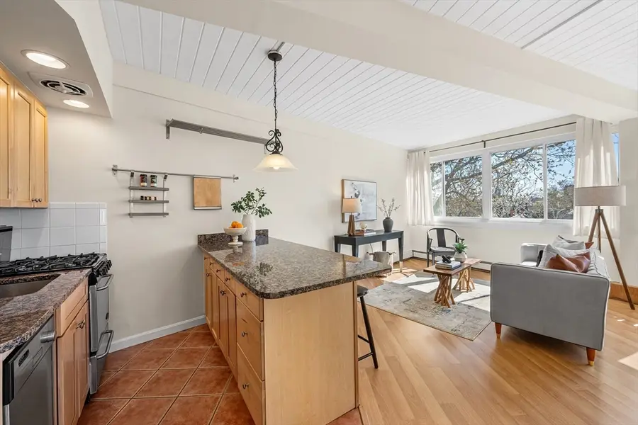 516 Green St #4B, Cambridge, MA 02139 - #2