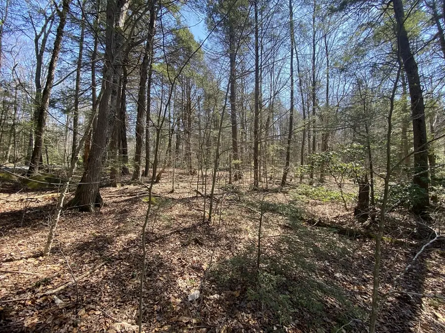 Lot 43 South Village Rd, Tolland, MA 01034 - #2
