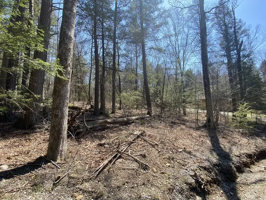 Lot 43 South Village Rd, Tolland, MA 01034 - #3