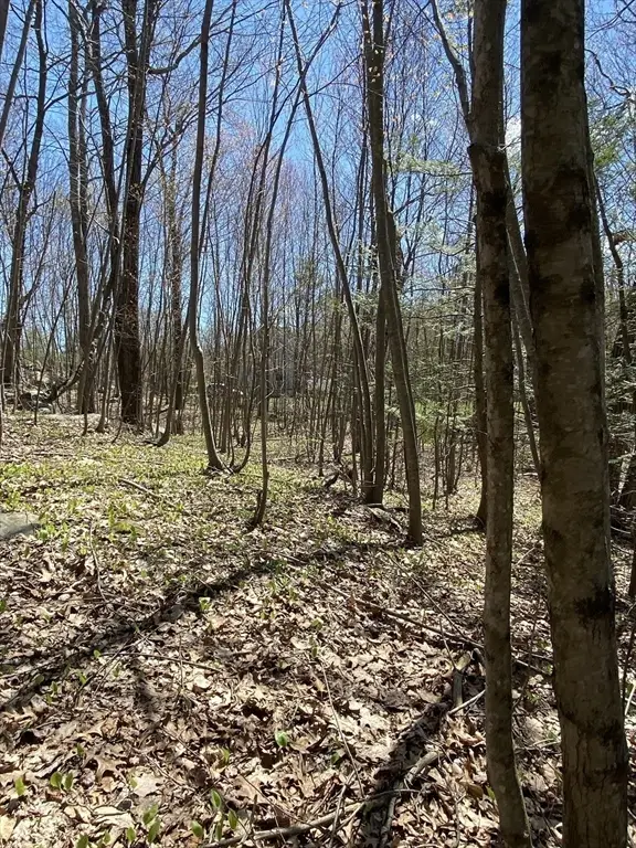 117 Munsing Ridge, Granby, MA 01033 - #2