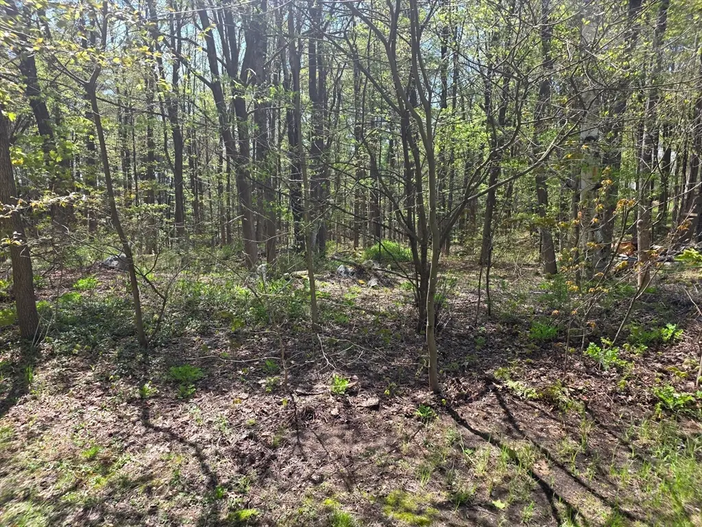 Lot 1 Winter St, Orange, MA 01364 - #1