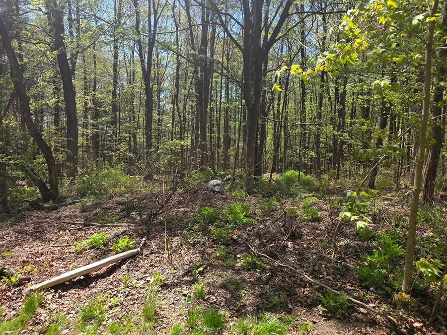 Lot 1 Winter St, Orange, MA 01364 - #2