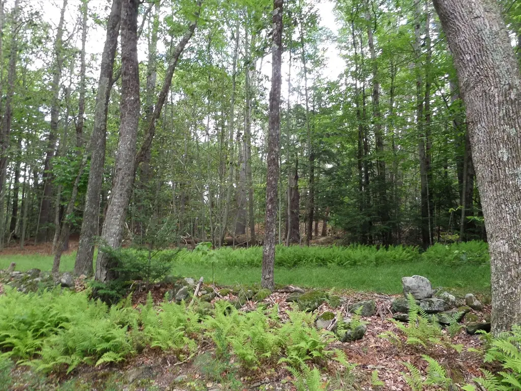 0 Pynchon Rd, Chesterfield, MA 01012 - #1