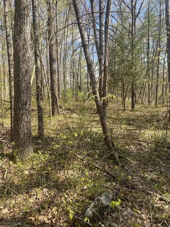 395 Belchertown Rd, Ware, MA 01082 - #3