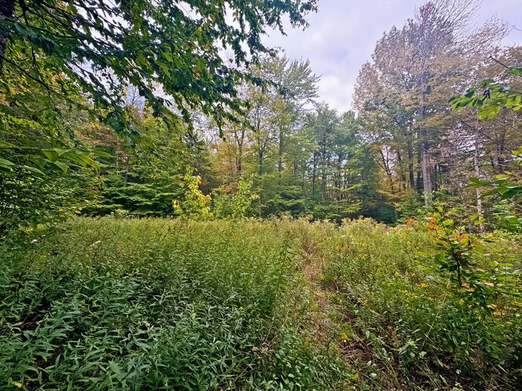 60 Stone Hill Road, Rowe, MA 01367 - #1