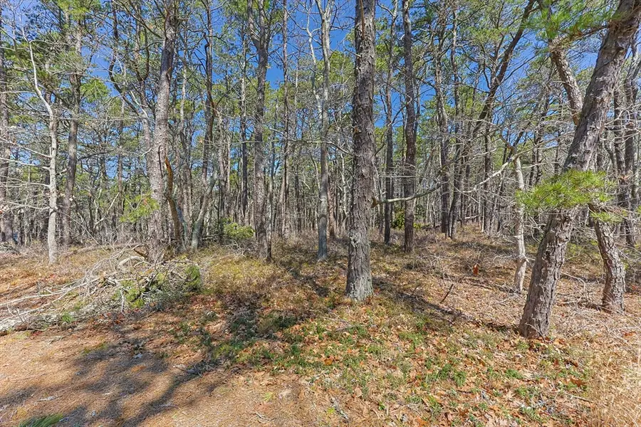 175 Delphi Path, Wellfleet, MA 02667 - #2
