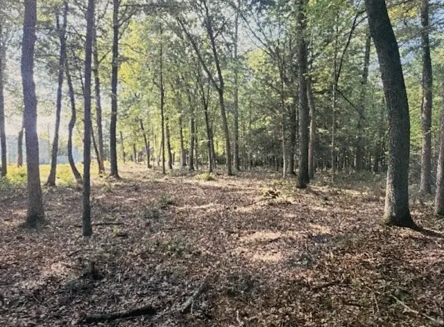 Lot 2 North Hatfield Rd., Hatfield, MA 01038 - #2