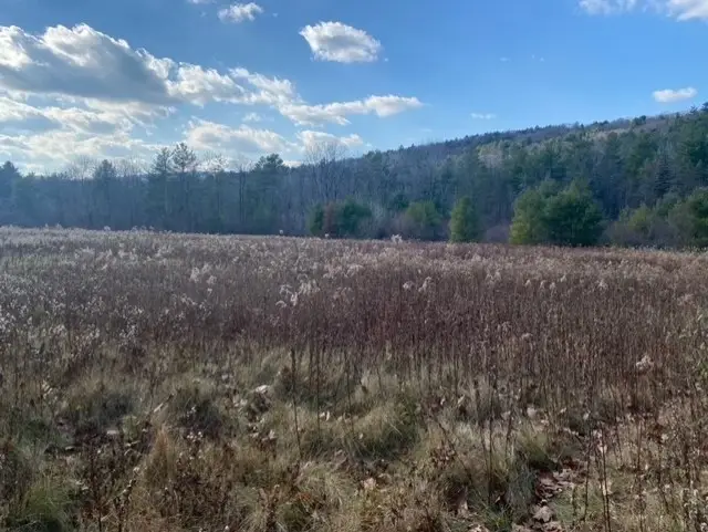0 E Alford Rd, West Stockbridge, MA 01266 - #2
