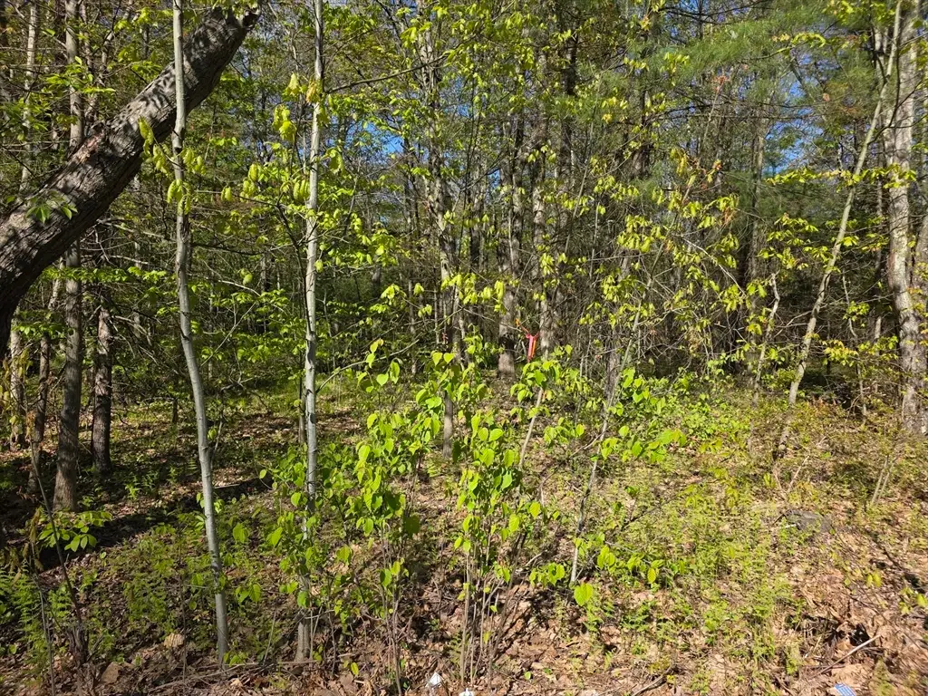 lot 14 West St, Ludlow, MA 01056 - #1