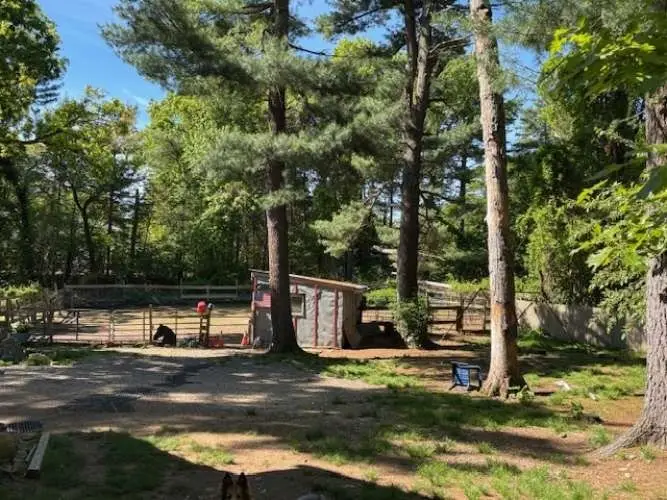 19 King St, Norfolk, MA 02762 - #3