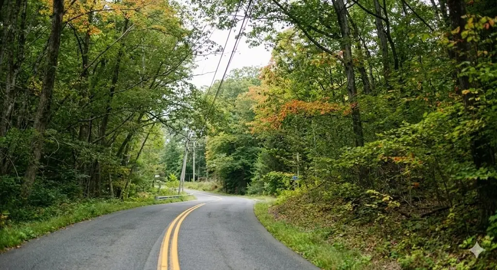 00 William Holmes Rd, Becket, MA 01223 - #1