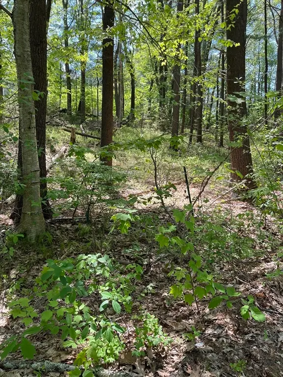 Lot A-2 Durkee Lane, Westford, MA 01886 - #1