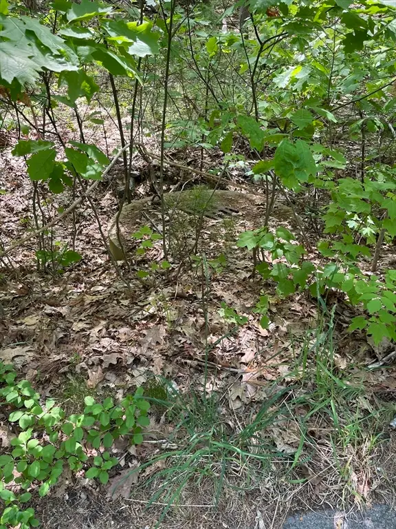 Lot A-2 Durkee Lane, Westford, MA 01886 - #2