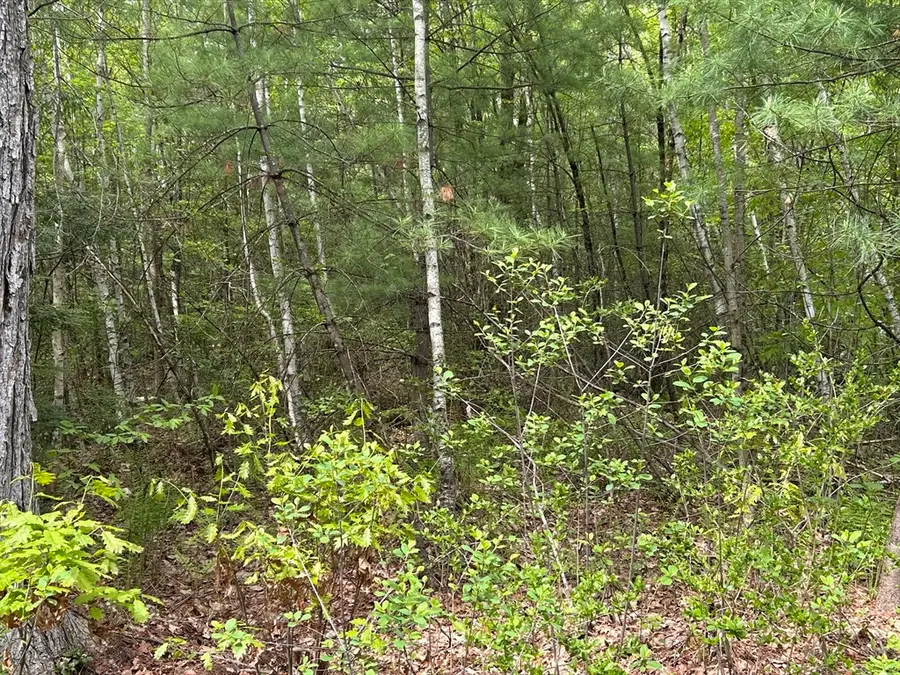 0 Lot 2 Stoddard Rd, Winchendon, MA 01475 - #2