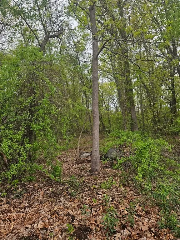 40 Book Street, Dracut, MA 01826 - #2