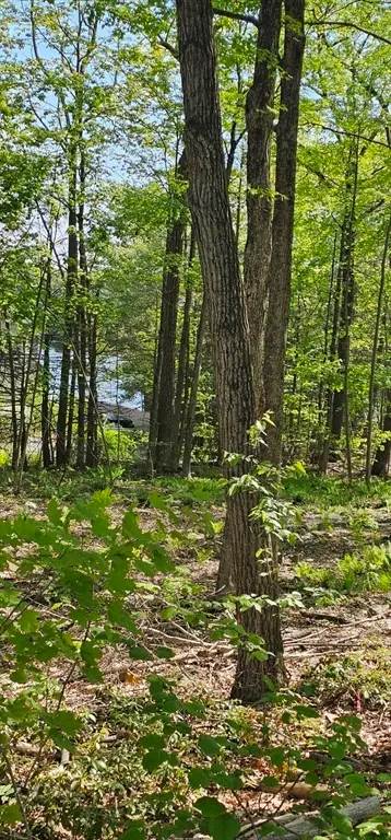 12 Carey Road, Sturbridge, MA 01566 - #3