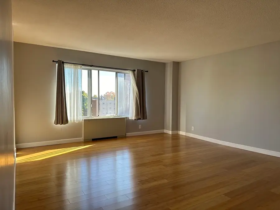 22 Chestnut Pl #306, Brookline, MA 02445 - #2
