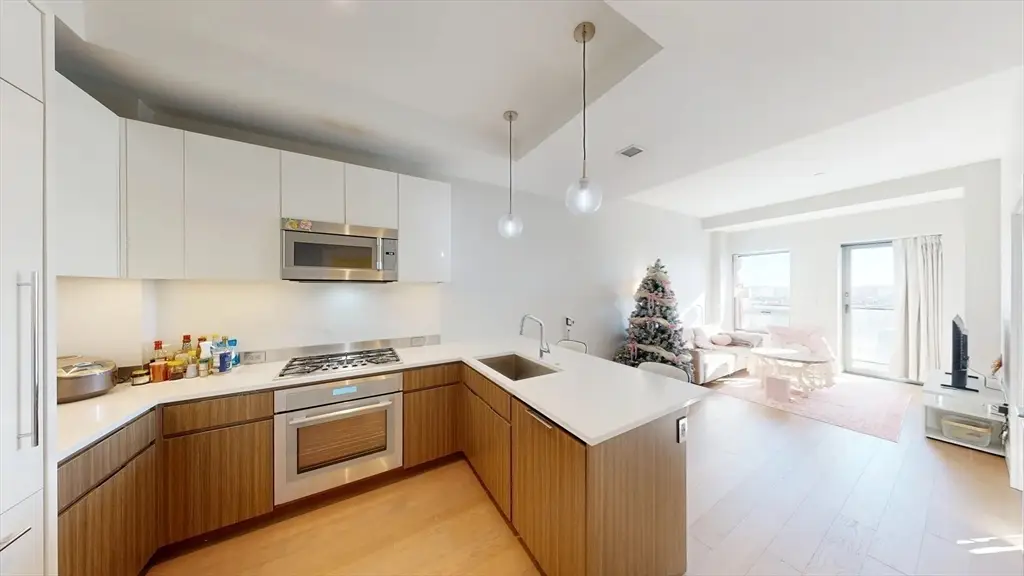 100 Shawmut Ave #1109, Boston, MA 02118 - #1