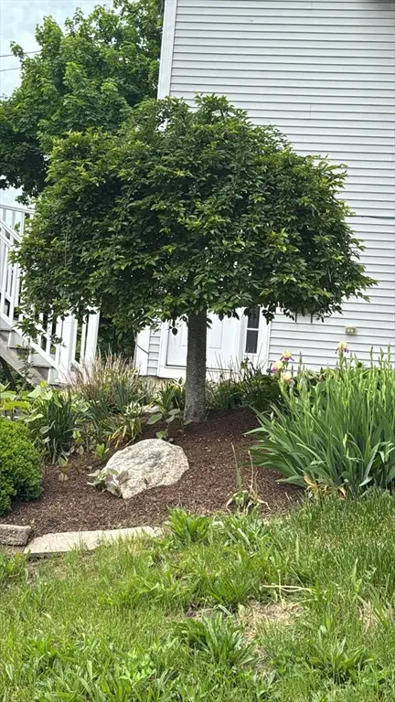 1 Clegg St, Worcester, MA 01603 - #1