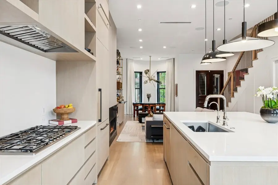 189 W Brookline St, Boston, MA 02118 - #3