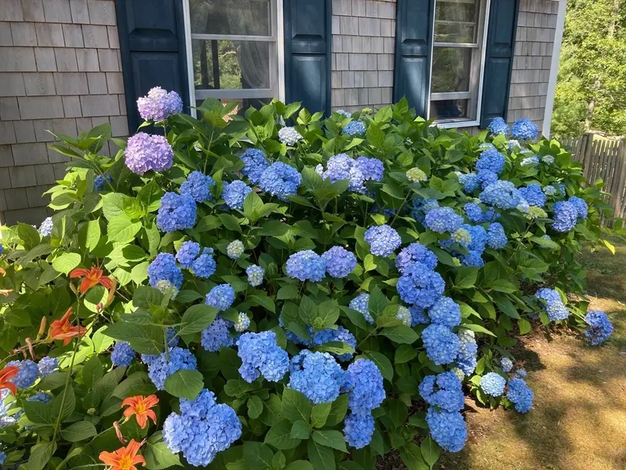 38 Shorewood Dr, Orleans, MA 02653 - #2