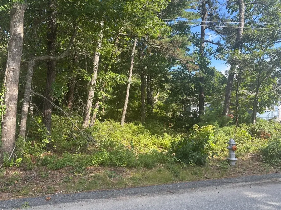 8 Blackbird Ave, White Island Shores, MA 02538 - #3
