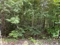 Lot 7&8 Little John, Becket, MA 01223 - #1