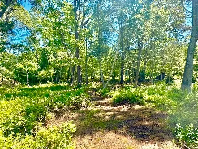 52 Heath Hen Ln., Tisbury, MA 02568 - #2