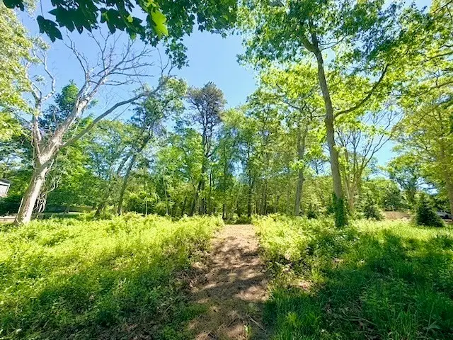 52 Heath Hen Ln., Tisbury, MA 02568 - #3