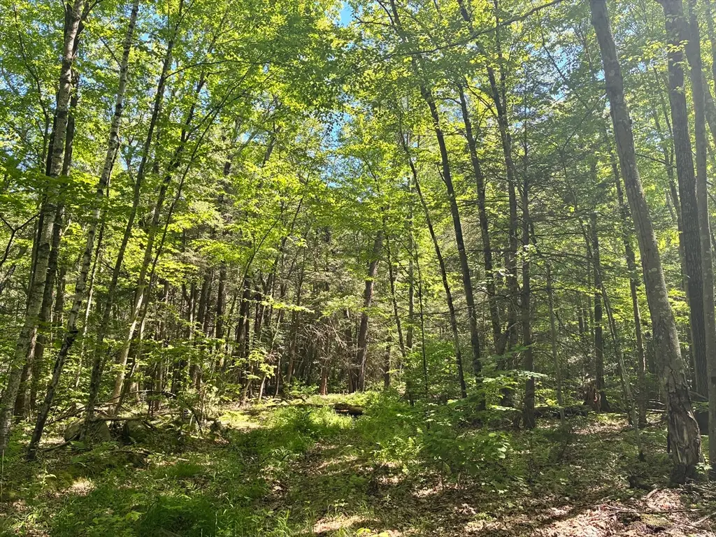 0 Summit St, Belchertown, MA 01007 - #1